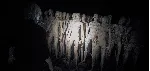 Post Trauma 💎 АВТОДОСТАВКА STEAM GLOBAL МГНОВЕННО ЛИЦЕНЗИЯ
