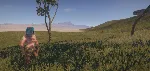 Rust Новый Аккаунт ( New Account ROW )