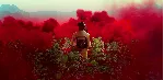 FAR CRY 6 + ВСЕ ЧАСТИ XBOX X|S | XBOX ONE АККАУНТ - irongamers.ru