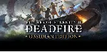 Pillars of Eternity II: Deadfire - Obsidian Edition - irongamers.ru
