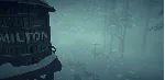 The Long Dark: Survival Edition * STEAM🔥 АВТОДОСТАВКА