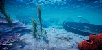 Project Castaway - STEAM GIFT РОССИЯ
