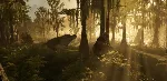 GONE Fishing STEAM GIFT AUTO RU+МИР - irongamers.ru