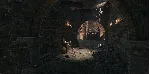 Ex Natura: Nature Corrupted - STEAM GIFT РОССИЯ