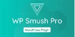 WP Smush Pro [3.15.3] - Русификация плагина 💜 🔥 