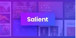 Salient [17.3.0] - Русификация премиум темы 🔥 💜 