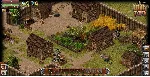 Wild Terra Online Esquire Pack Steam Key ( Global ) - irongamers.ru