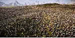 Ultimate Epic Battle Simulator 2/STEAM АККАУНТ/ГАРАНТИЯ - irongamers.ru