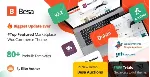 Besa [2.2.18] - Русификация премиум темы 🔥 💜 