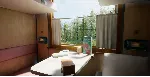 Russian Train Trip 2 * STEAM РОССИЯ🔥 АВТОДОСТАВКА