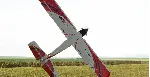 RealFlight Evolution: Upgrade from RealFlight 9.5 - Ste - irongamers.ru