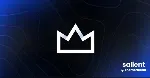 Salient [17.3.0] - Русификация премиум темы 🔥 💜 