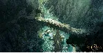 Solasta: Crown of the Magister - Supporter Pack - irongamers.ru