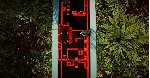 The Forest Cathedral КЛЮЧ🔑 STEAM ВСЕ СТРАНЫ