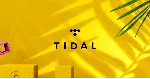 🎵 TIDAL HiFi Plus 1 Месяц ⚡ Приватный Аккаунт ✅ Гарантия | Быстрая Доставка
