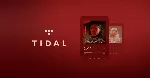 🎧 🎵 TIDAL HiFi PLUS СЧЕТ★ ⏳🎵 1МЕСЯЦА ★ ГАРАНТИЯ💥 💯 