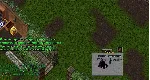 Ultima online - Олмер онлайн "Worldstone pack"