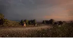 DiRT Rally 2.0 - Germany (Rally Location) DLC - irongamers.ru