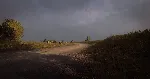 DiRT Rally 2.0 - Germany (Rally Location) DLC - irongamers.ru