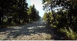 DiRT Rally 2.0 - Germany (Rally Location) DLC