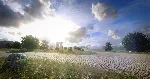 DiRT Rally 2.0 - Germany (Rally Location) DLC