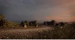 DiRT Rally 2.0 - Germany (Rally Location) DLC STEAM