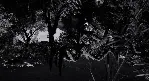 Phobia STEAM KEY REGION FREE GLOBAL+РОССИЯ