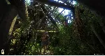 ✅ Kingdom Come Deliverance The Amorous Adventures ⚫ STEAM