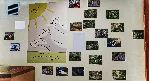 Animal Shelter КЛЮЧ STEAM ВСЕ СТРАНЫ - irongamers.ru