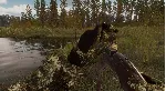 BULT: Hunting simulator + ВЫБОР РЕГИОНА STEAM