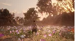 South of Midnight (Steam Gift) · РФ и весь мир · Автодоставка 24/7