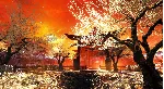 Shadow Warrior: Special Edition (Gift RU+CIS Tradable)