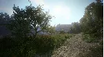 Kingdom Come: Deliverance Royal Edition XBOX Ключ🔑 +RUS