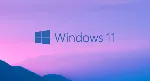 Windows 11 Home🔑 Warranty/Microsoft Partner✅ 
