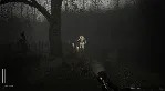 Descending The Woods * STEAM RU*KZ*UA*СНГ