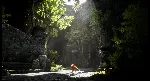 Spirit of the North 2 * STEAM RU АВТО 0% - irongamers.ru