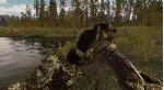 Bult: Hunting simulator✅ STEAM GIFT AUTO✅ RU+МИР