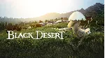 Black Desert Online Kuku Pet GLOBAL KEY - irongamers.ru