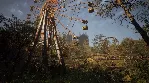 ⭐Dead Man´s Diary XBOX⭐Покупка на Ваш аккаунт⭐ - irongamers.ru