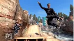 Skate 3 XBOX от 360 На Любой Регион
