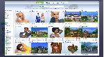 The Sims 4 I Полная Коллекция EA App I ПК/Мак I Русский - irongamers.ru