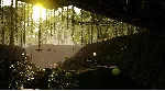 Beasts of Bermuda АВТОДОСТАВКА STEAM GIFT РОССИЯ - irongamers.ru