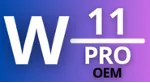 Windows 11 Professional OEM Key