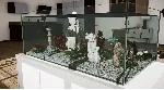 ⭐Aquarium Designer XBOX⭐Покупка на Ваш аккаунт⭐ - irongamers.ru