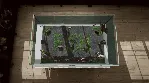 ⭐Aquarium Designer XBOX⭐Покупка на Ваш аккаунт⭐ - irongamers.ru