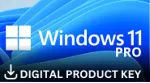 Windows 11 Professional OEM Key