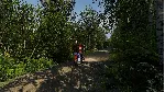 Finnish Cottage Simulator Выбор Региона Стим STEAM GIFT АВТО 24/7 ГАРАНТИЯ