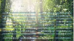 Perfect Massage: Deluxe Musical Journey | XBOX+PC | На любой аккаунт - irongamers.ru