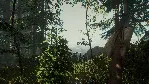 The Forest СТИМ Steam Gift