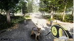 Animal Shelter✅ STEAM GIFT AUTO✅ RU+МИР